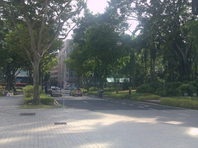 Kawasan Penang Road yang rimbun