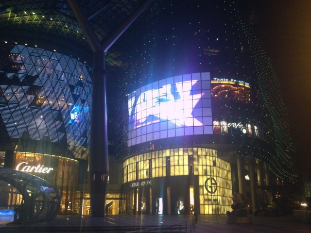 Ion Orchard at night