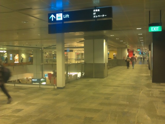 Elegant Changi Airport