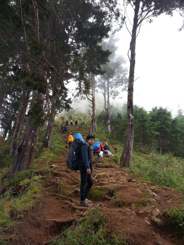 Ngeksis di tengah jalan