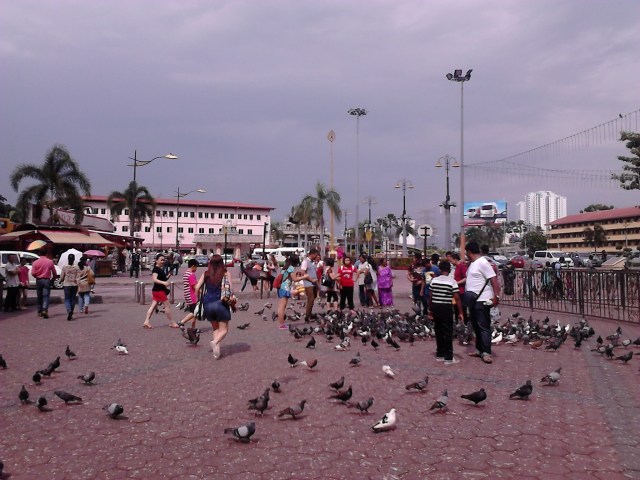 Mind your head! This place is full with pigeons!