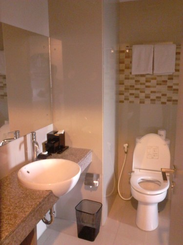 Wastafel dan toilet yang berdampingan