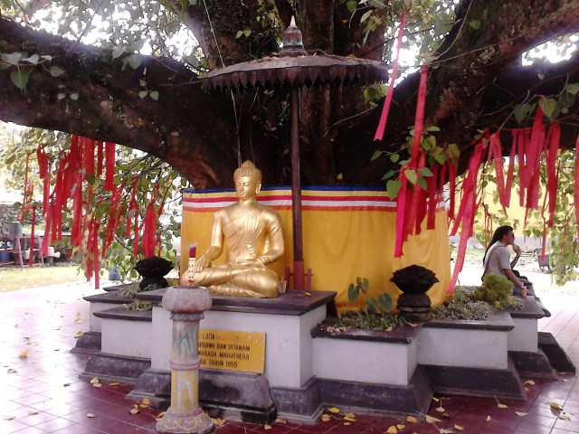 Patung Buddha Emas di bawah Pohon Bodhi