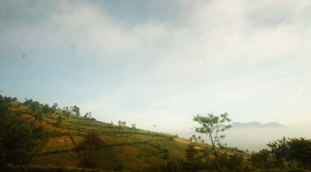 Trying to capture the view while riding the car