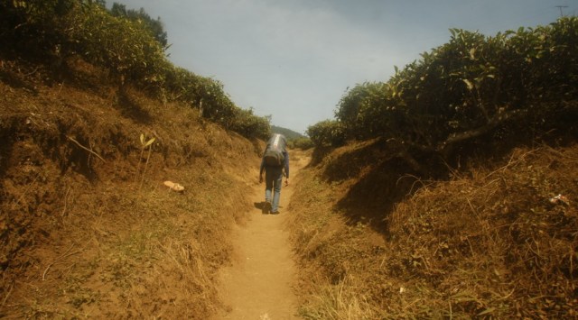 Memulai pendakian Gunung Cikuray dengan jalur berdebu