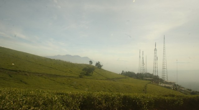 Panorama alam yang memanjakan mata di jalur pendakian Gunung Cikuray