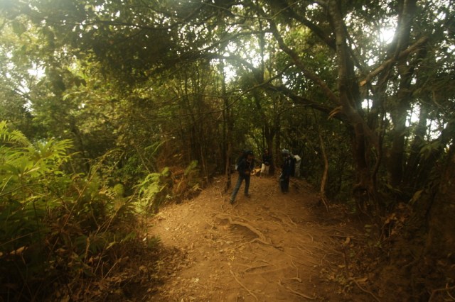 Beristirahat di tengah jalan, Gunung Cikuray
