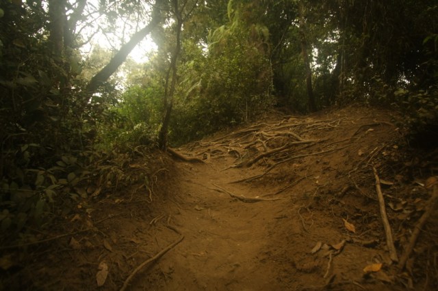 Kondisi medan pendakian Gunung Cikuray