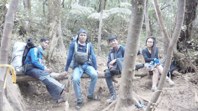 Beristirahat di batang pohon, Gunung Cikuray