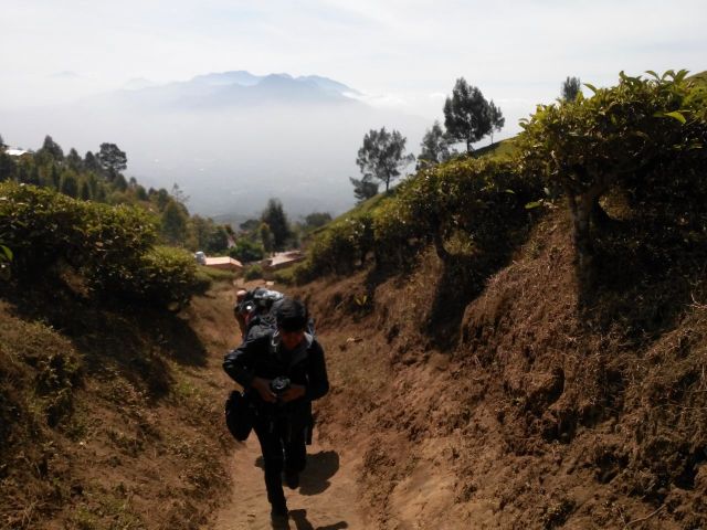 Melalui celah tanah kering Gunung Cikuray