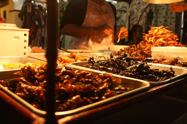 Thai Fried Insects anyone?