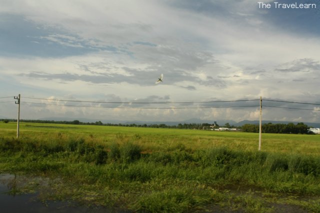 Can you spot the bird?