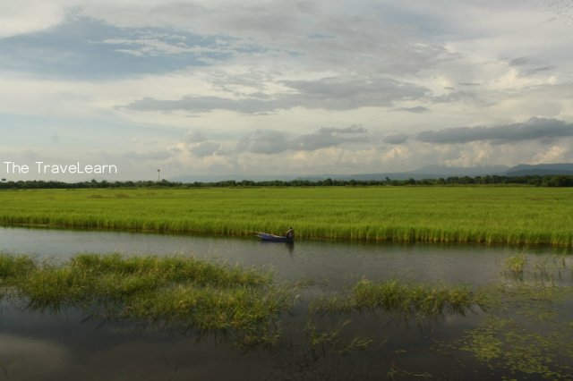 Scenic view along the journey!