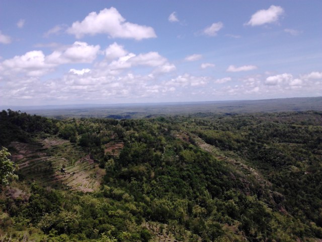 Panorama Kebun Buah Mangunan dengan samudera lepas yang mengintip di ujung cakrawala