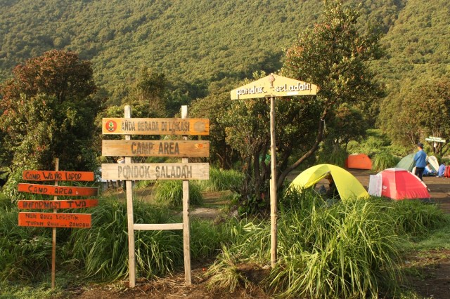 Pondok Saladah, Gunung Papandayan