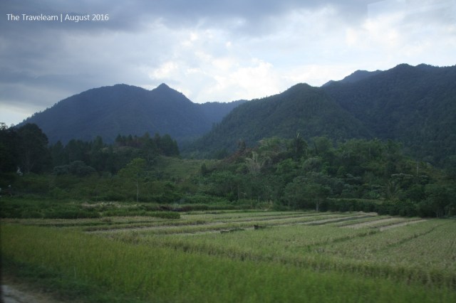 Beauty of Tapanuli yang mampu mengalihkan pikiran dari sopir Batak yang... "unik".