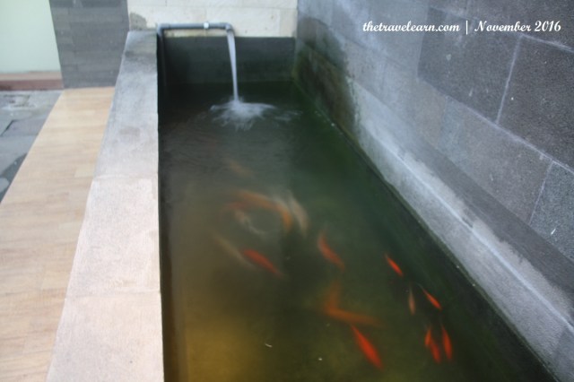 Kolam ikan koi di rooftop Hotel Grand Tjokro