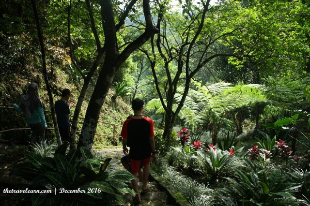 Menuruni Tangga Batu Alam Menuju Curug