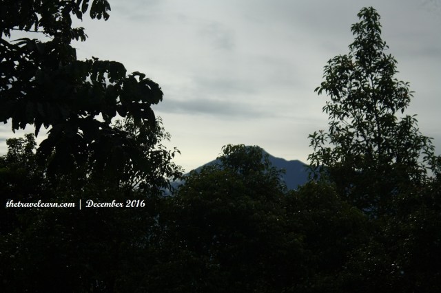 Pemandangan dari Balkon Villa Botani