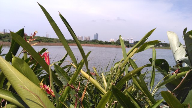 Hasil foto kamera belakang Infinix Hot 3 Max LTE di Waduk Ria Rio, Jakarta